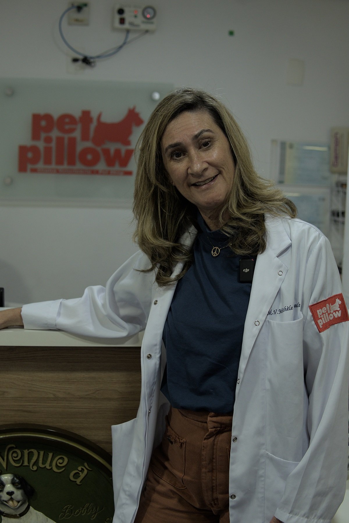 Vai Viajar Com Pet Nas F Rias Veja Os Cuidados Essenciais Veterin Ria Pet Pillow