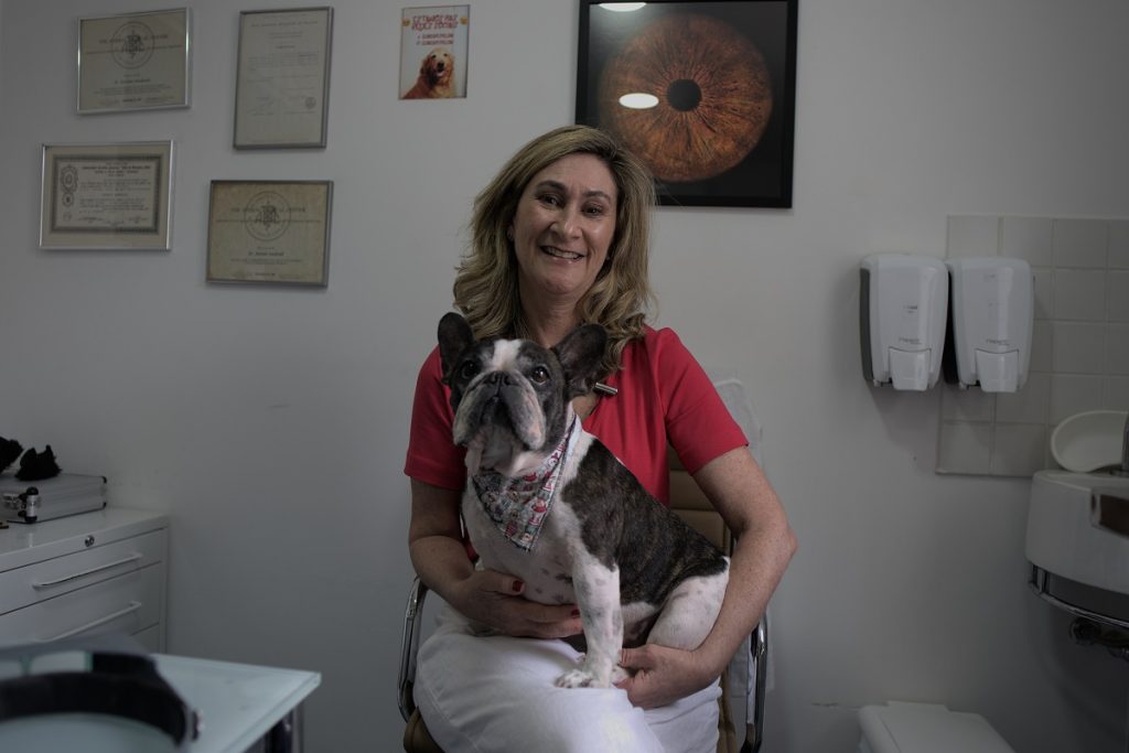 Dezembro Laranja Pet seu pet está protegido contra câncer de pele