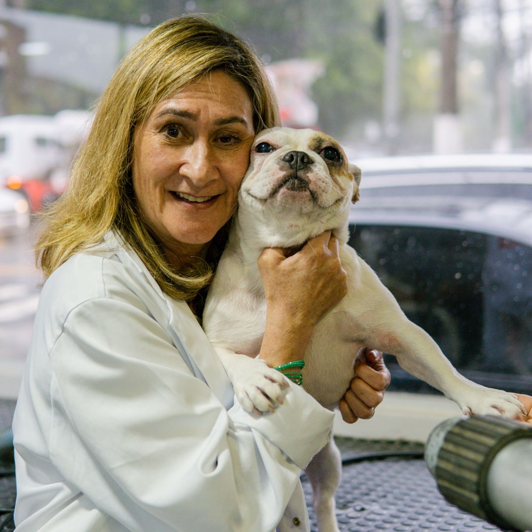 vacinação em cães