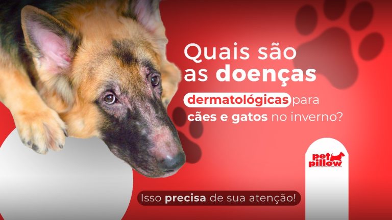 Quais são as doenças dermatológicas para cães e gatos no inverno?